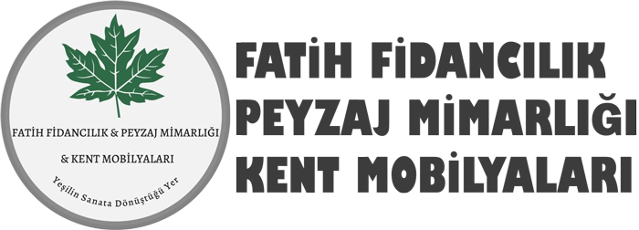 Fatih Fidanclk